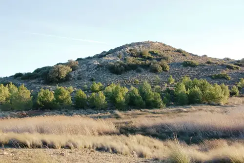ARQUE.-103-Bronce-Cerro-de-los-Cuchillos-Almansa