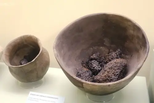 ARQUE.-111-Vasijas-con-semillas