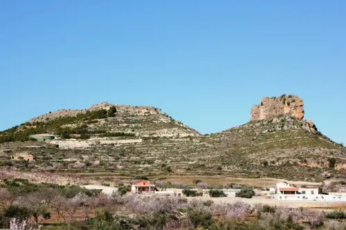 ARQUE.-126-Bronce-El-Penoncico-Elche-de-la-Sierra