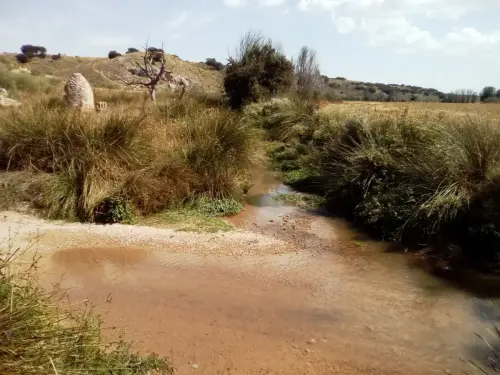 ARQUE.-127-Bronce-La-Pasadilla-Villarrobledo