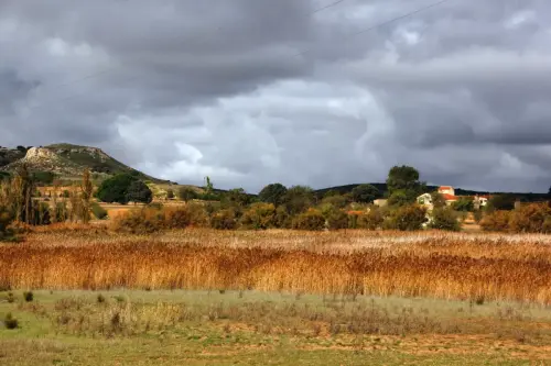 ARQUE.-129-Bronce-Cola-de-Caballo-Petrola