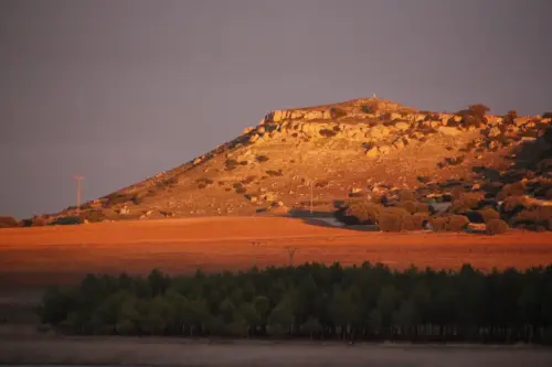 ARQUE.-130-Bronce-Cola-de-Caballo-Petrola