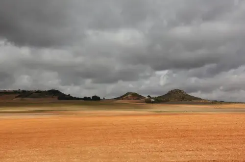 ARQUE.-131-Bronce-Morras-en-la-laguna-de-Petrola
