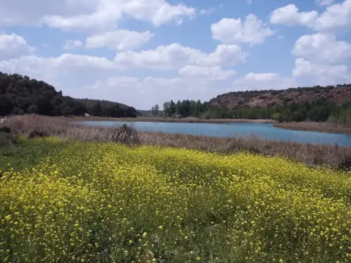 ARQUE.-134-Bronce-Laguna-Concejo-Lagunas-de-Ruidera-Ossa-de-Montiel