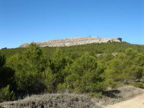 ARQUE.-135-Bronce-Pena-del-Roble-Penas-de-San-Pedro