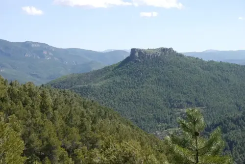 ARQUE.-139-Bronce-Morra-de-la-Alcantarilla-Yeste