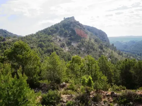 ARQUE.-140-Bronce-Pena-Bermeja-o-Penon-Colorao-Socovos