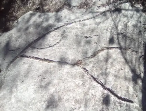 ARQUE.-157-Petroglifos-o-insculturas-El-Cenajo-Hellin