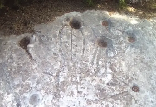 ARQUE.-158-Petroglifos-o-insculturas-El-Cenajo-Hellin