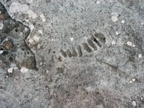 ARQUE.-160-Petroglifos-del-Cenajo-Hellin