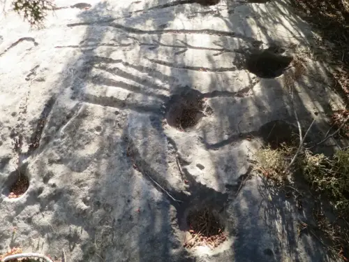 ARQUE.-164-Petroglifos-o-insculturas-El-Cenajo-Hellin