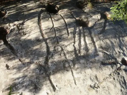 ARQUE.-167-Petroglifos-o-insculturas-El-Cenajo-Hellin