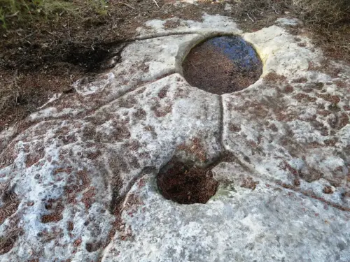 ARQUE.-170-Petroglifos-o-insculturas-El-Cenajo-Hellin