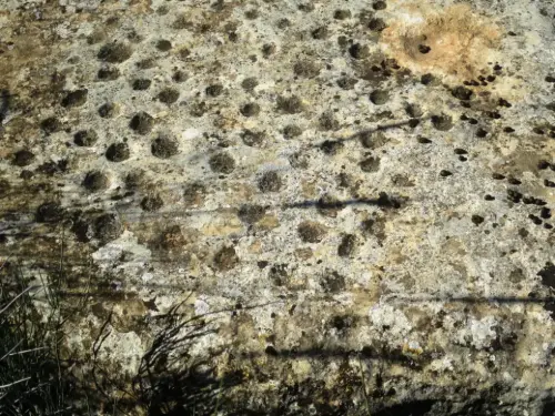 ARQUE.-175-Petroglifos-o-insculturas-Cabeza-LLana-Hellin