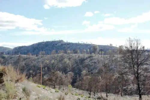 ARQUE.-190-Los-Almadenes.-Poblado-iberico-orientalizante-Hellin