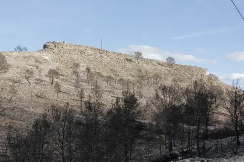 ARQUE.-191-Los-Almadenes.-Poblado-iberico-orientalizante-Hellin