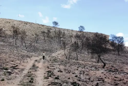 ARQUE.-192-Los-Almadenes.-Poblado-iberico-orientalizante-Hellin