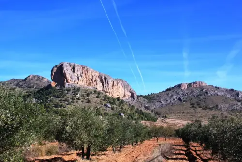 ARQUE.-246-Poblado-Iberico-La-Piedra-de-Penarrubia-Elche-de-la-Sierra