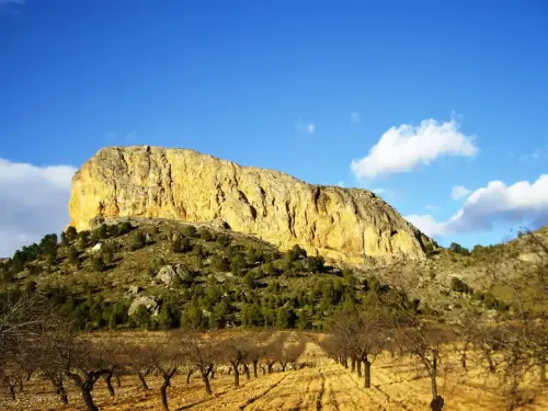 ARQUE.-247-Poblado-Iberico-La-Piedra-de-Penarrubia-Elche-de-la-Sierra