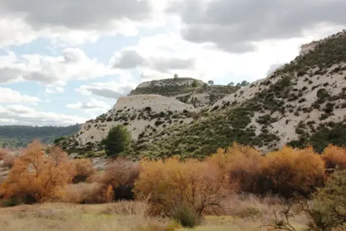 ARQUE.-307-Necropolis-del-Tesorico-Hellin