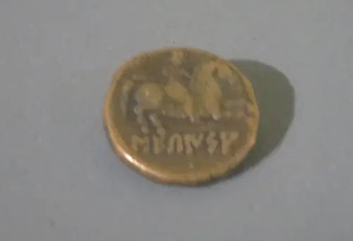 ARQUE.-315-Mundo-iberico