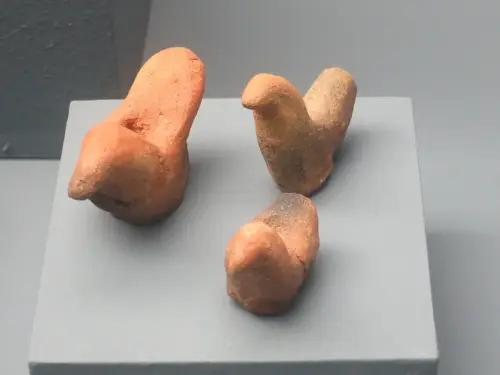 ARQUE.-326-Mundo-iberico-Palomas