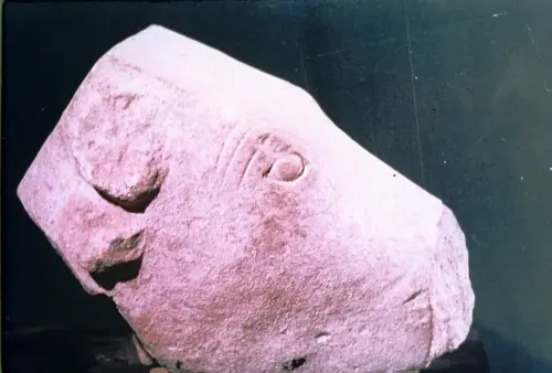 ARQUE.-369-Mundo-iberico-Culto-al-toro-Cabeza-de-toro-Caudete