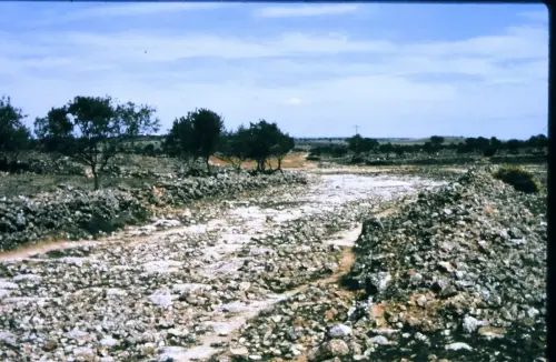 ARQUE.-457-Calzada-romana-en-Mirones-Viveros