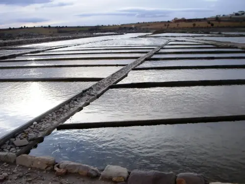 ARQUE.-485-Salinas-de-tradicion-romana-Pinilla-Viveros