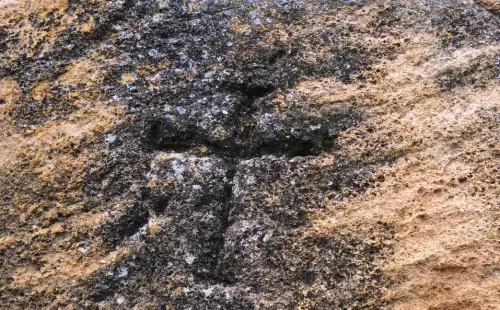 ARQUE.-544-Eremitorio-del-Alborajico-Tobarra