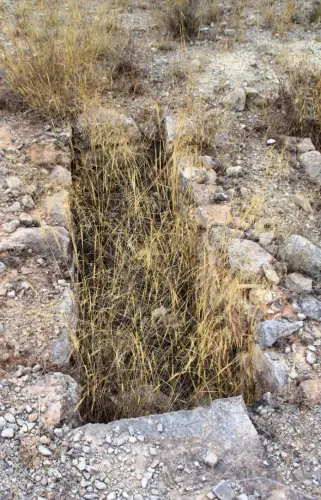 ARQUE.-574-Necropolis-visigoda-Loma-Eugenia-Agra-Hellin