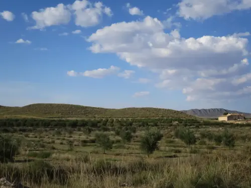 ARQUE.-575-Necropolis-visigoda-Loma-Lencina-Tobarra