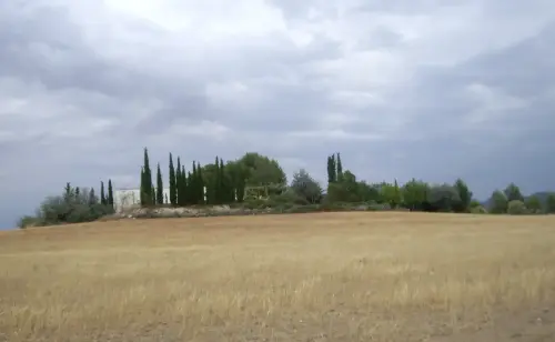 ARQUE.-587-Necropolis-visigoda-del-pozo-de-la-nieve-Torre-Uchea-Hellin