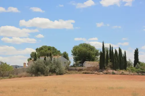 ARQUE.-588-Necropolis-visigoda-del-pozo-de-la-nieve-Torre-Uchea-Hellin