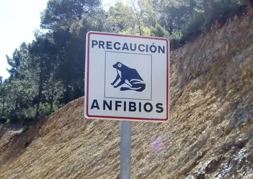 Curiosidades20-Cerca-de-Los-Chorros-Riopar