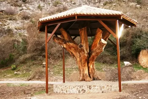 Curiosidades25-Planton-del-Covacho-Nerpio