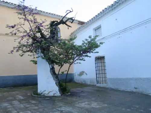 Curiosidades56-Nava-de-Arriba-Pozohondo