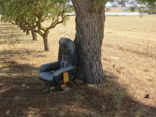 Curiosidades72-Por-la-laguna-de-Petrola