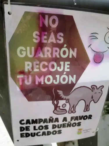 Curiosidades8-Molinicos