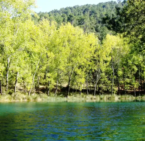 Embalses-Arroyofrio-Cotillas14