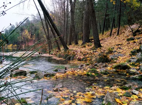 Embalses-Arroyofrio-Cotillas15