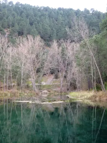 Embalses-Arroyofrio-Cotillas16