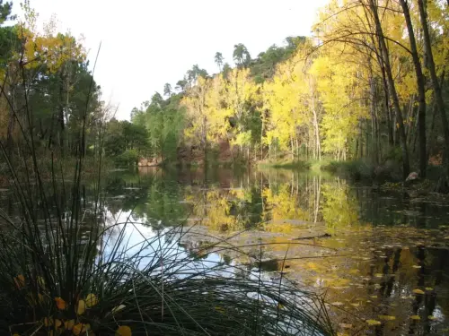 Embalses-Arroyofrio-Cotillas17