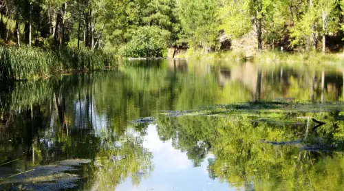 Embalses-Arroyofrio-Cotillas21