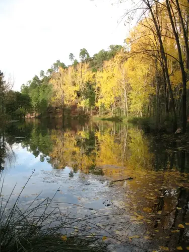 Embalses-Arroyofrio-Cotillas23