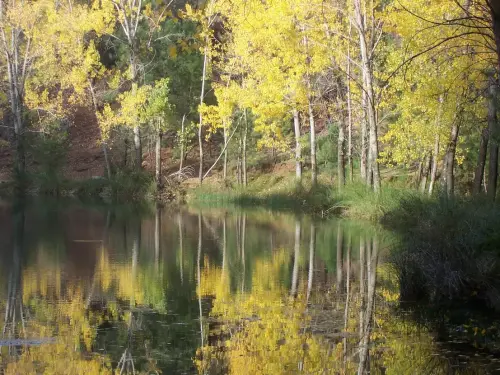 Embalses-Arroyofrio-Cotillas24