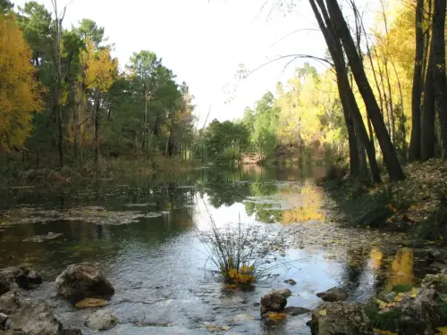 Embalses-Arroyofrio-Cotillas27