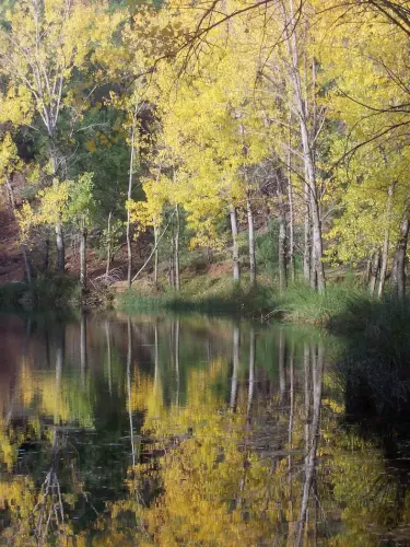 Embalses-Arroyofrio-Cotillas29