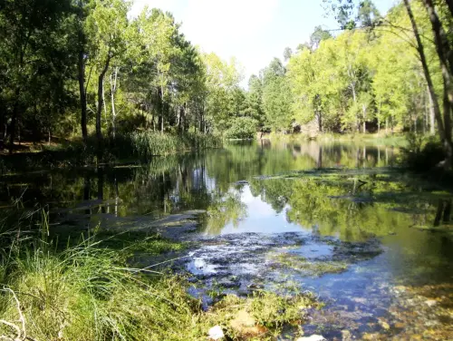 Embalses-Arroyofrio-Cotillas8