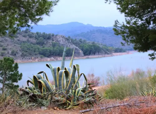 Embalses-Talave7